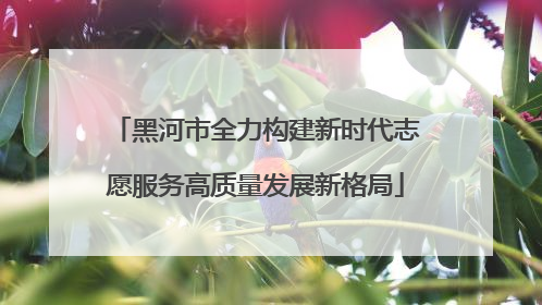 黑河市全力构建新时代志愿服务高质量发展新格局